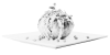 Bikaneri Tikkiwala rajkachori